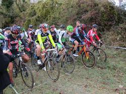 Illustration de la galerie